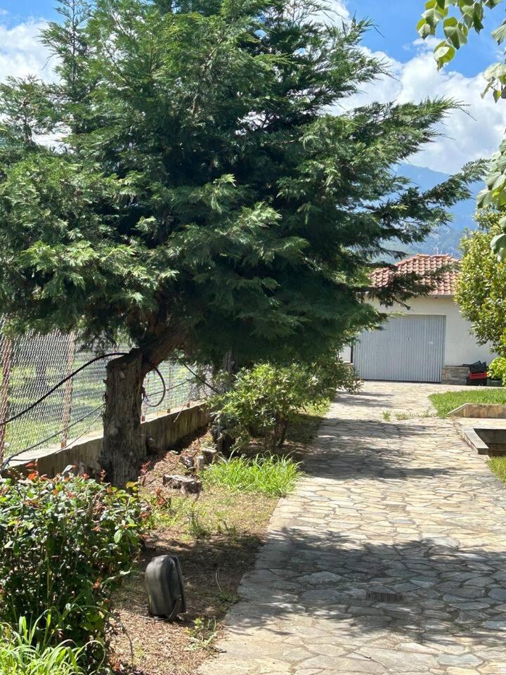 Zeusplace Karia Villa Natura Leptokarya  Exterior foto