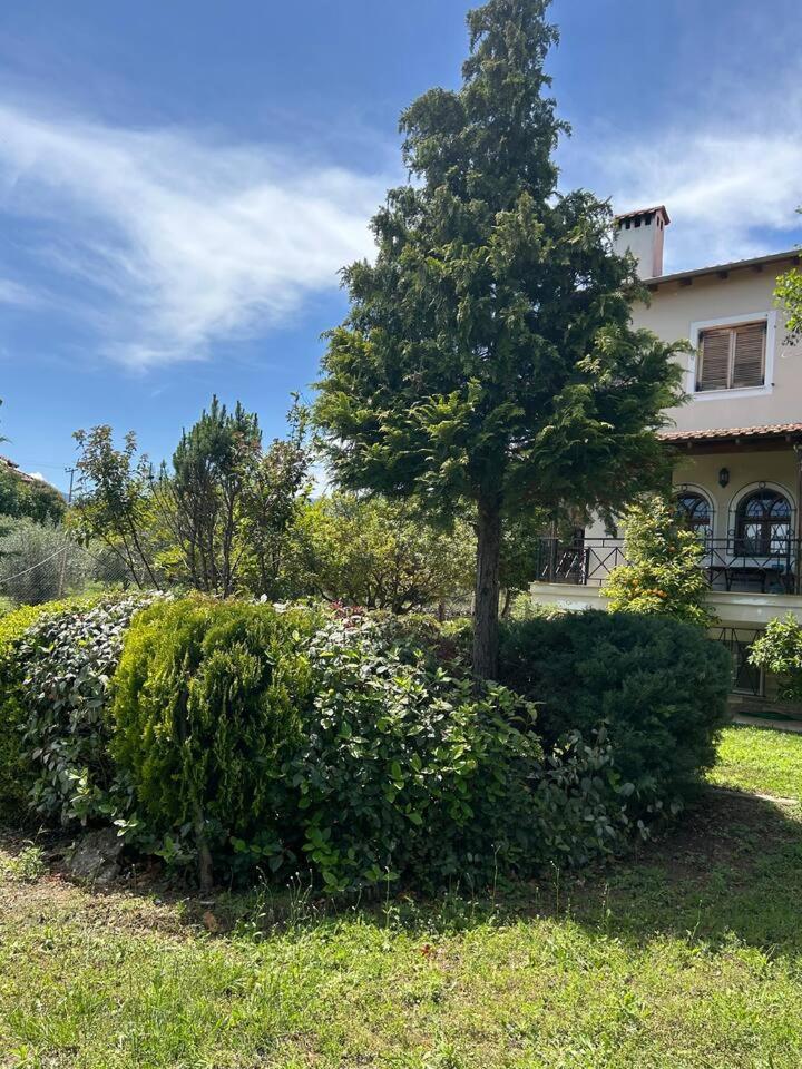 Zeusplace Karia Villa Natura Leptokarya  Exterior foto