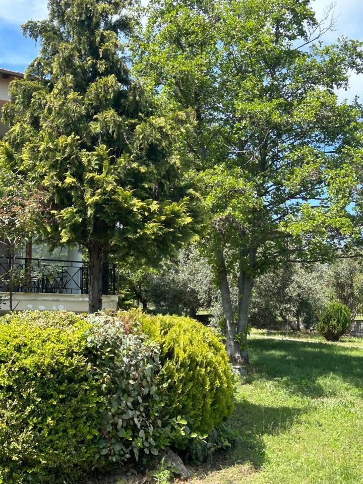 Zeusplace Karia Villa Natura Leptokarya  Exterior foto